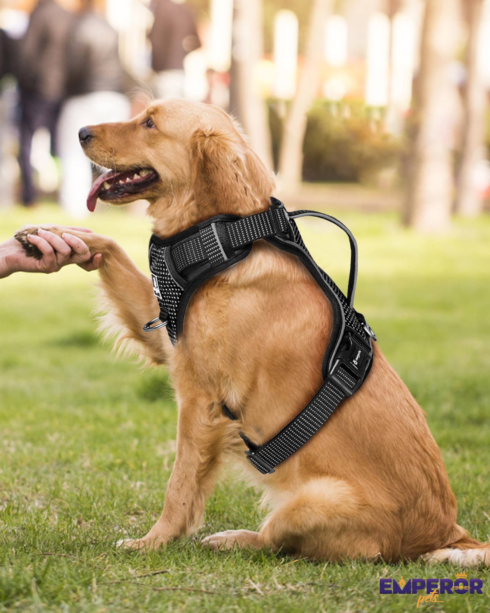 Emperor Pets Reflective Harness small in urban use context showcasing style and function