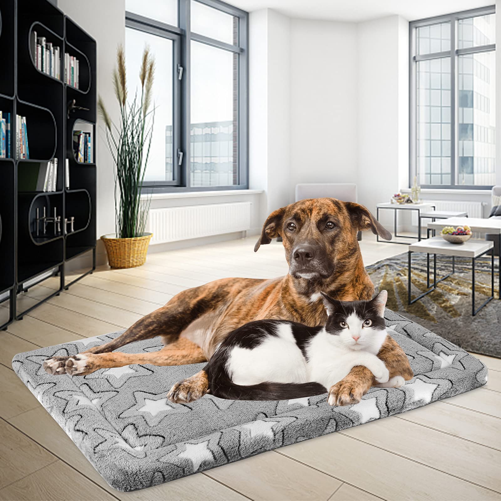 EMPSIGN dog crate pad on sofa ready for lounging and relaxation.