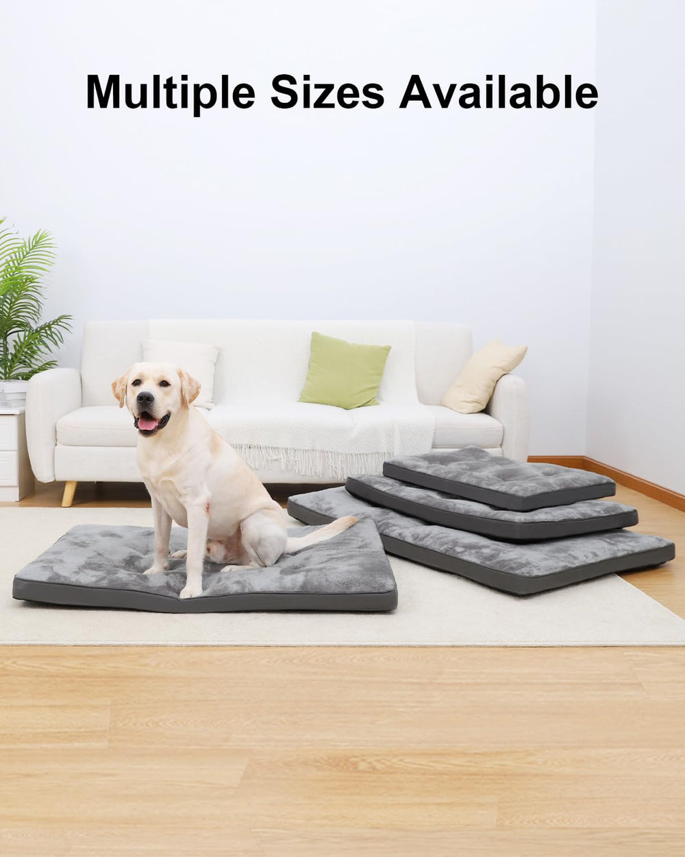 EMSLX dog bed easy-clean helps control odors between washes.