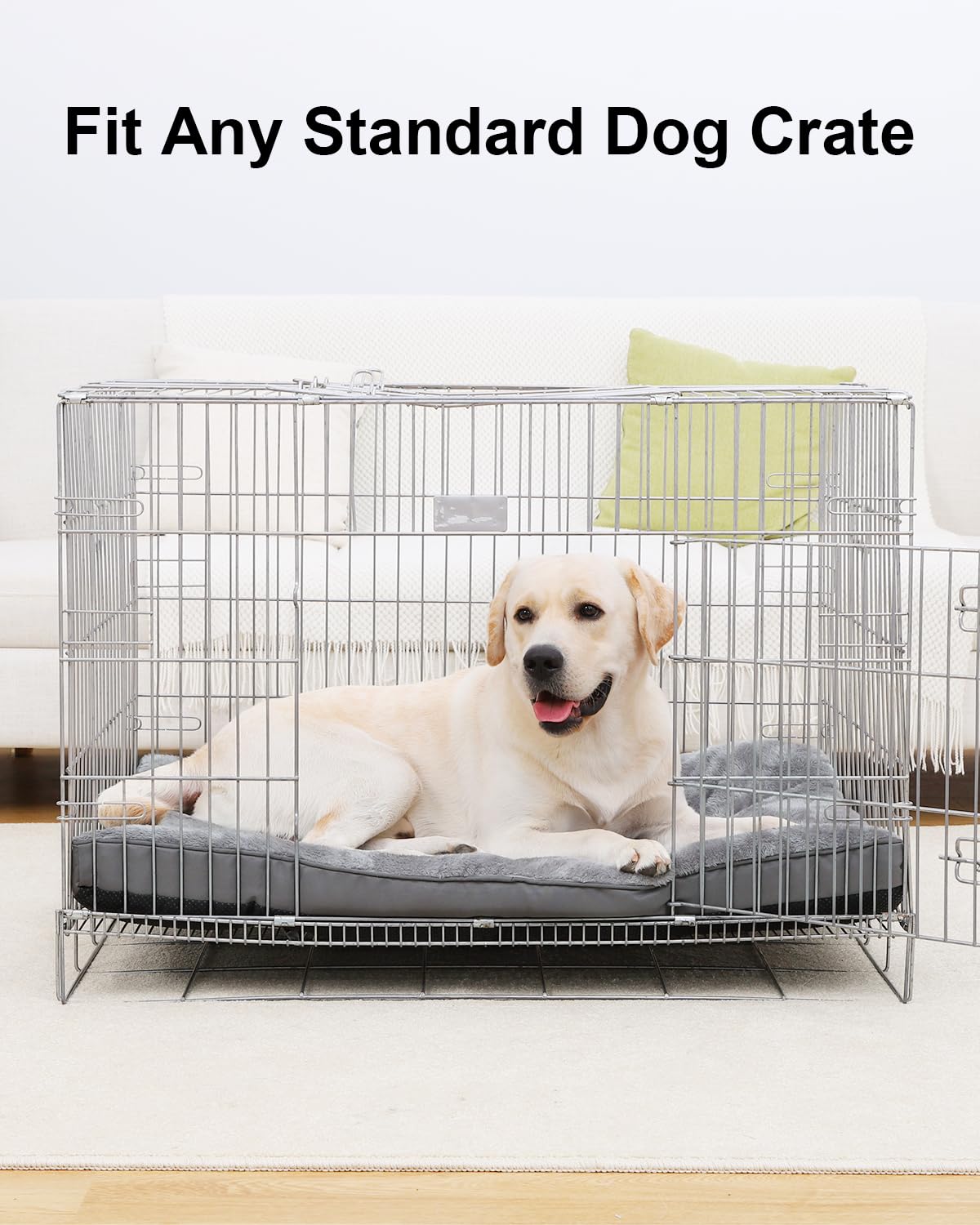 EMSLX dog bed pets-on-bed shows comfortable lounging.