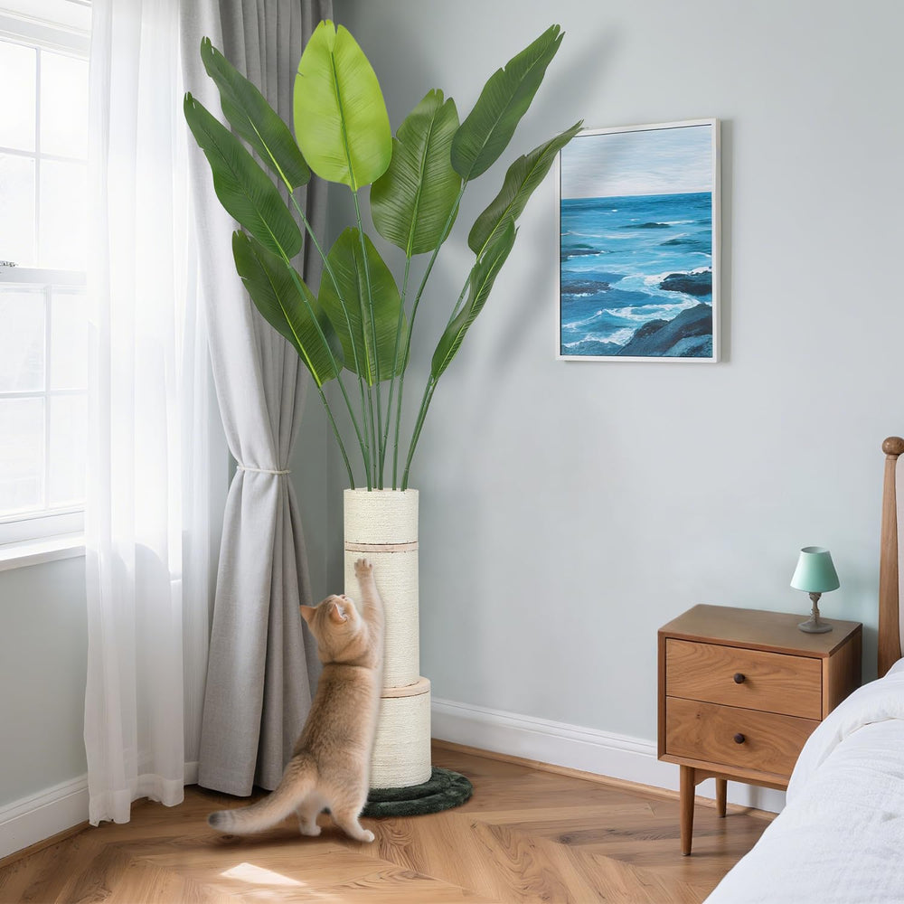 EMUST indoor setup fits living rooms for cozy cat play.