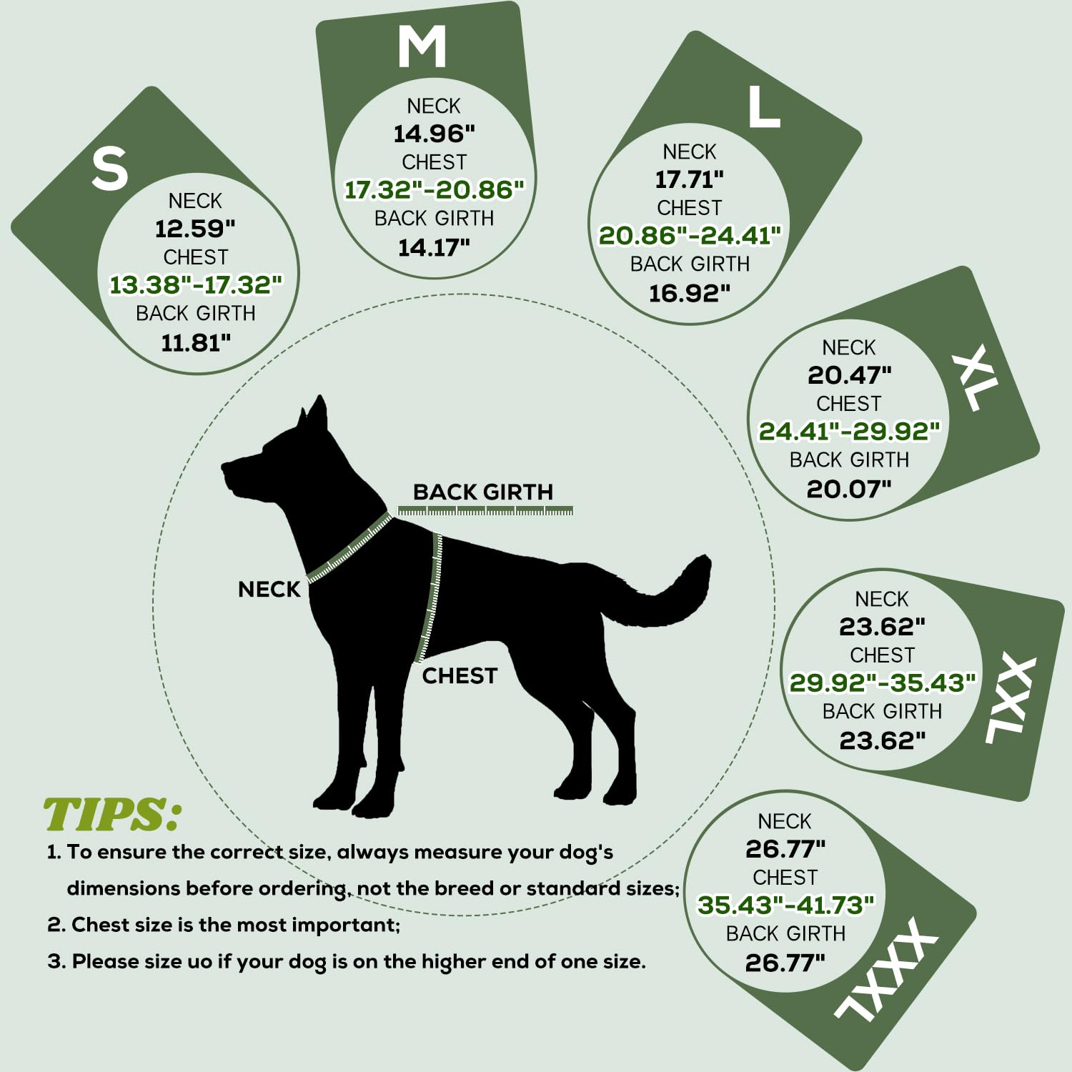 EMUST dog coat features back elastic band for secure, comfortable fit.
