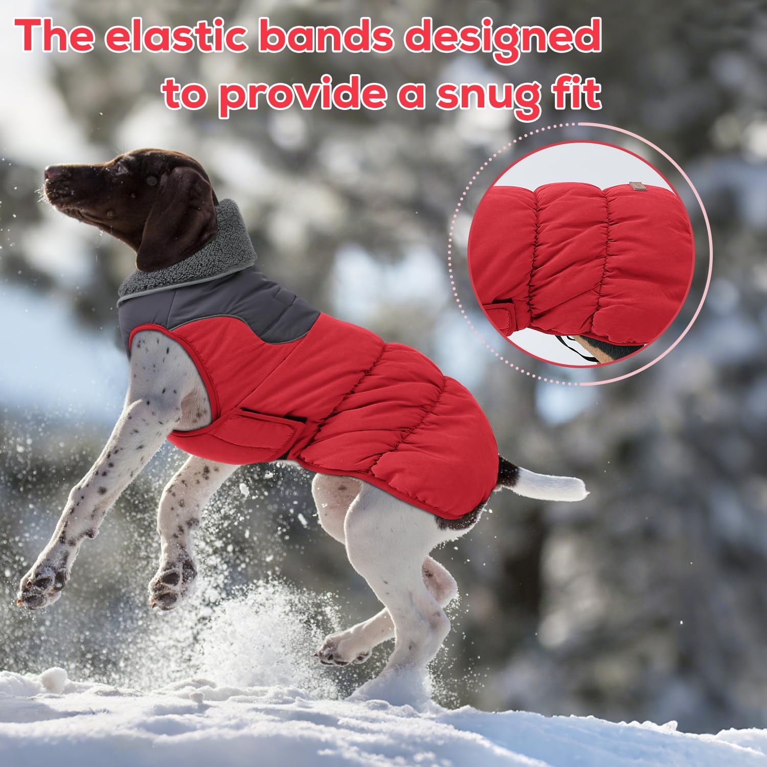 EMUST dog coat large L leash hole design enables easy walking while wearing.