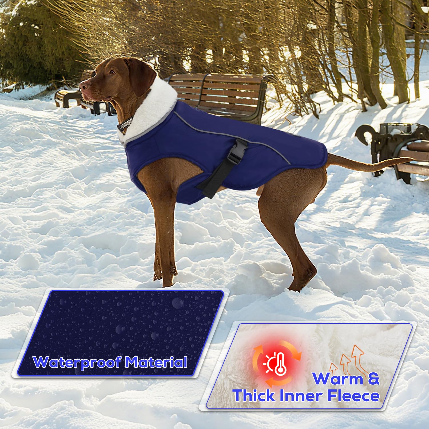 EMUST dog coat with reflective brim for safer evening walks.