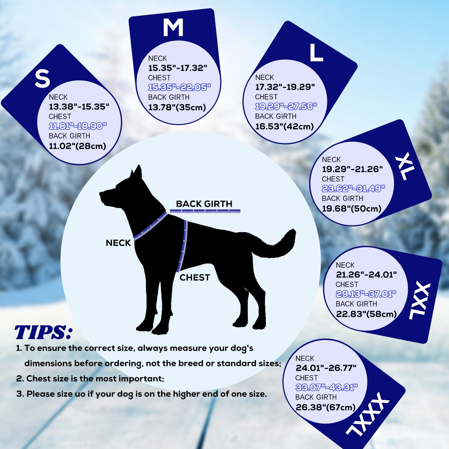 EMUST blue L dog coat available in six sizes and nine colors for many breeds.