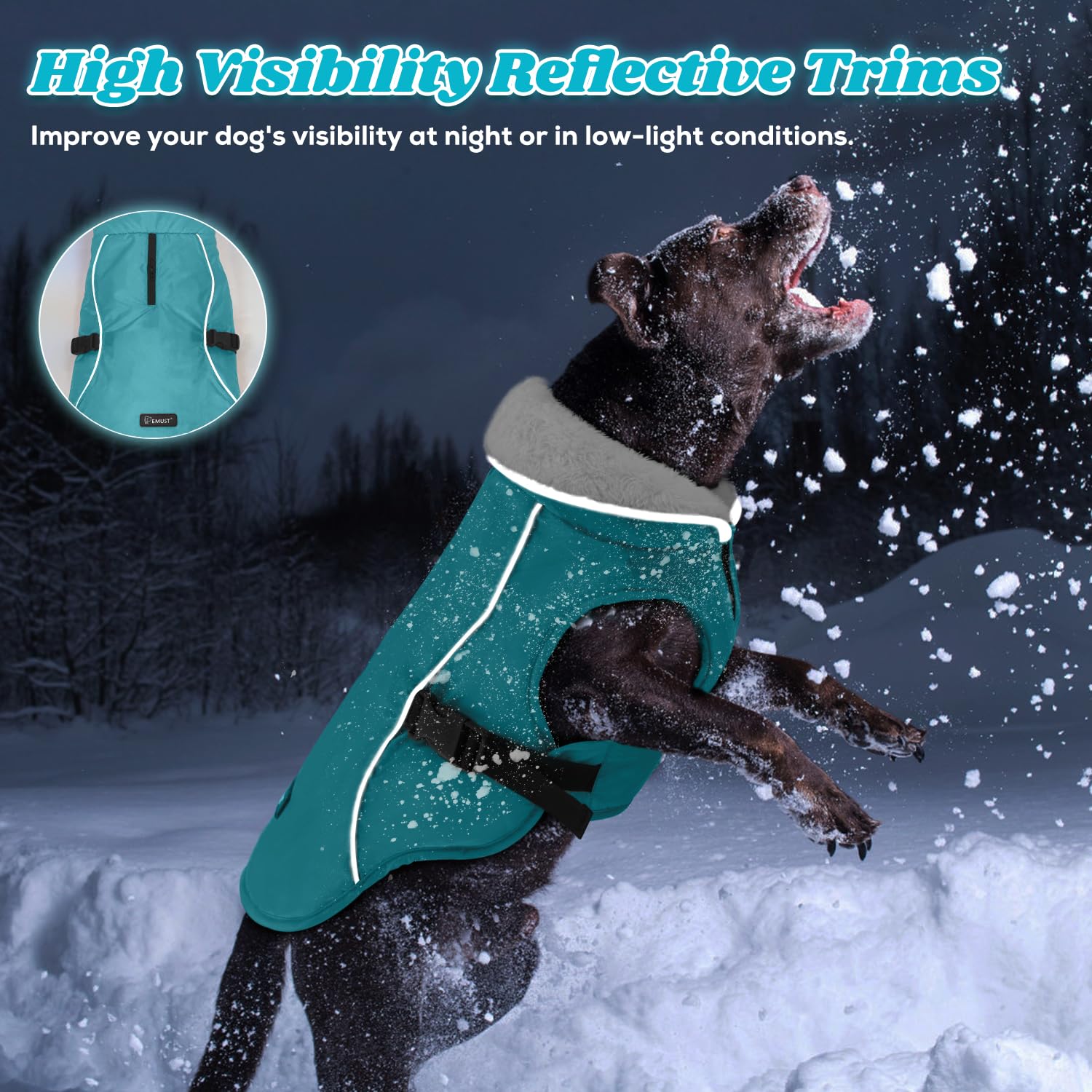 EMUST dog coat winter turquoise waterproof-windproof fabric protects against elements.