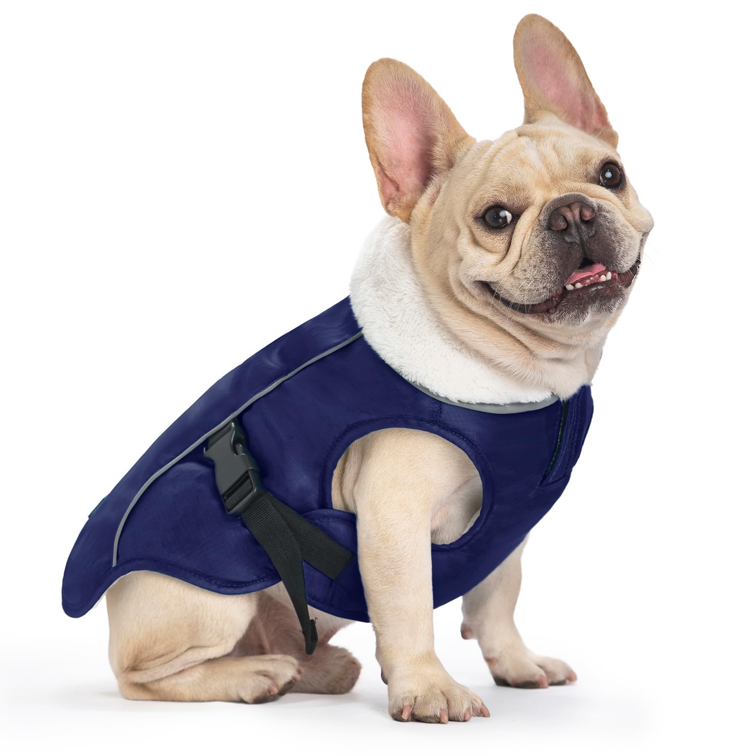EMUST dog jacket winter blue M front view shows windproof shell and secure fit