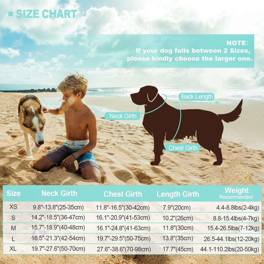 EMUST mermaid-inspired design helps your dog stand out during boating trips.