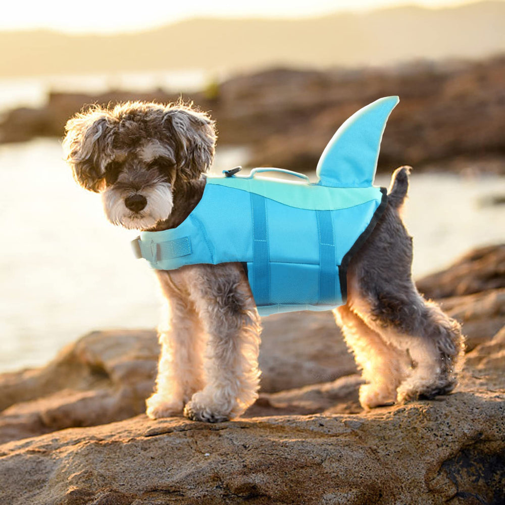 EMUST dog life jacket's bright colors help you spot your dog quickly.