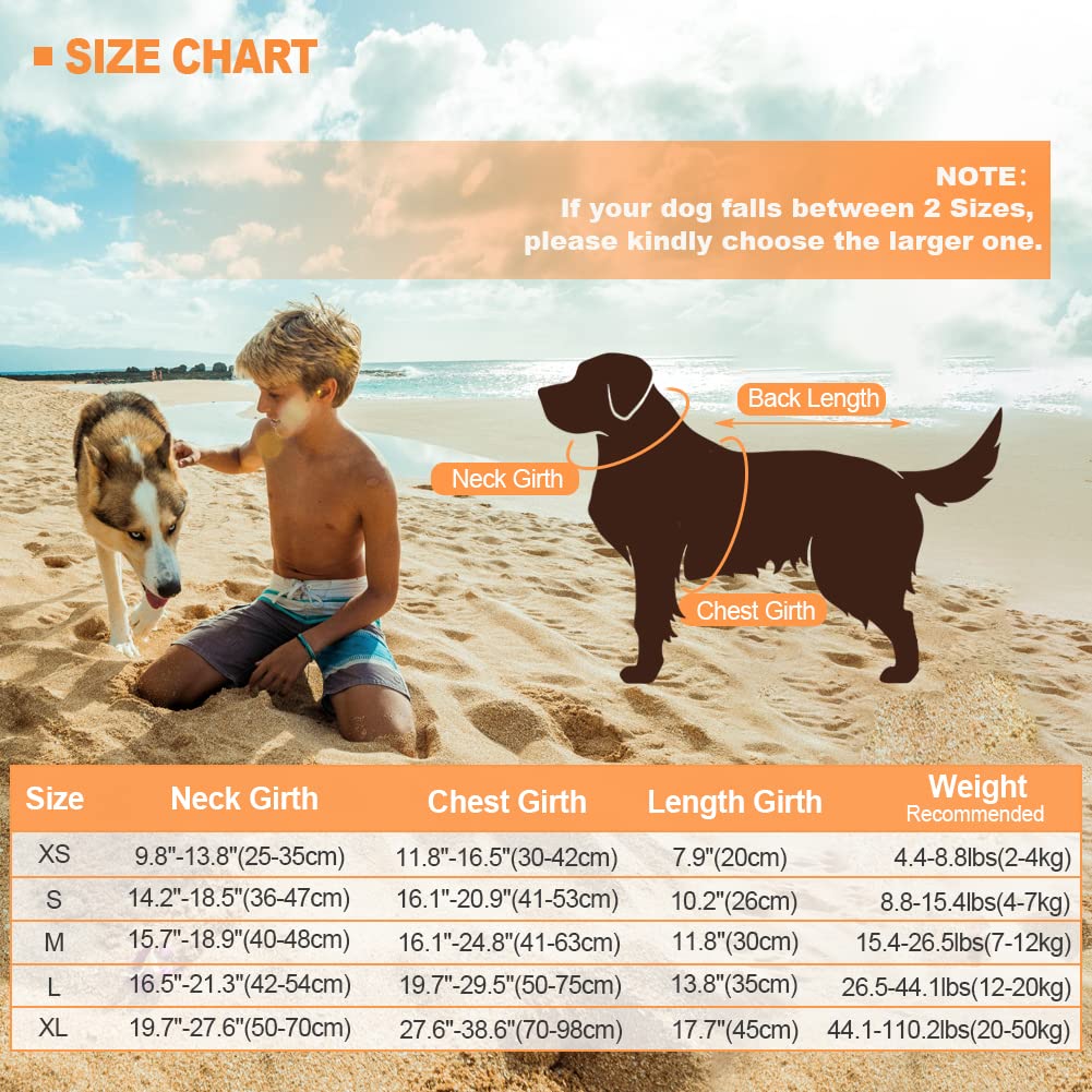 EMUST life jacket D-ring leash attachment supports keeping your dog close on outings.