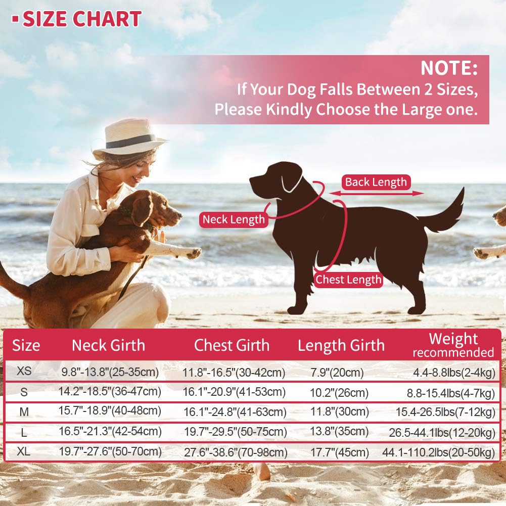 EMUST dog life jacket shark D-ring leash attachment for quick daytime walks.