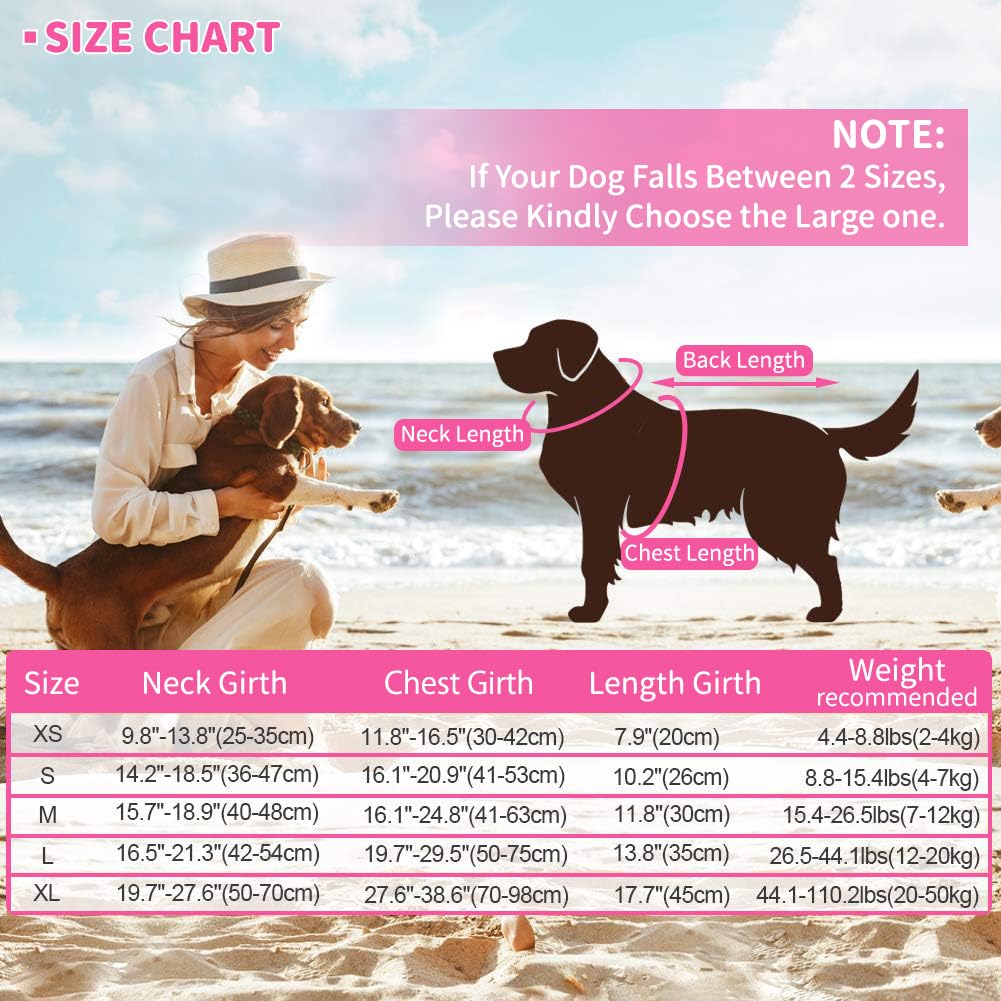 EMUST dog life jacket shark design stands out at poolside adventures.
