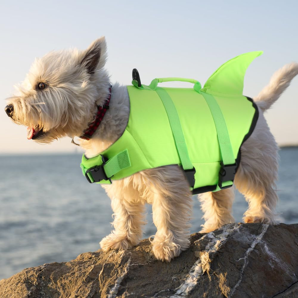 EMUST dog life vest in solid green color ready for pool, beach, or boat outings.
