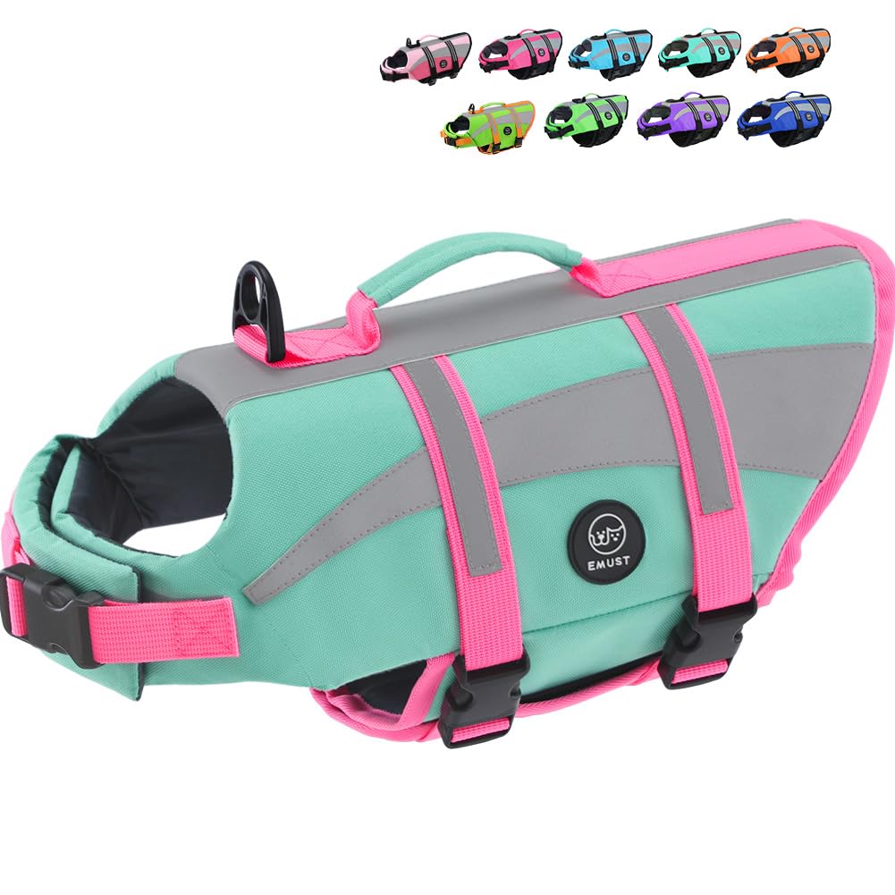 EMUST dog life vest highlights high-visibility strips for safer evening walks