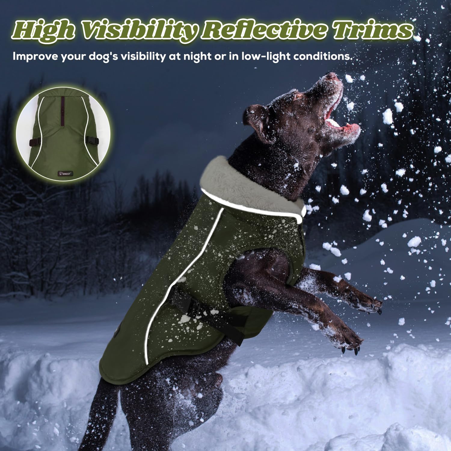 EMUST dog winter coat back view showcases thick insulation for cold outdoor adventures