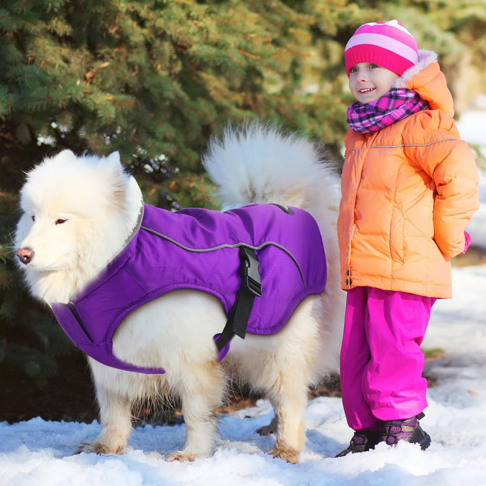 EMUST dog winter coat reflective-brim view emphasizes safety in low light