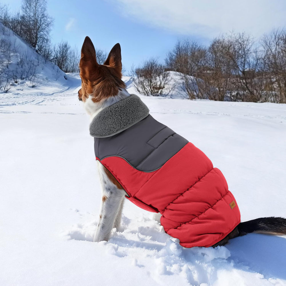 EMUST dog winter coat available in multiple sizes for most breeds