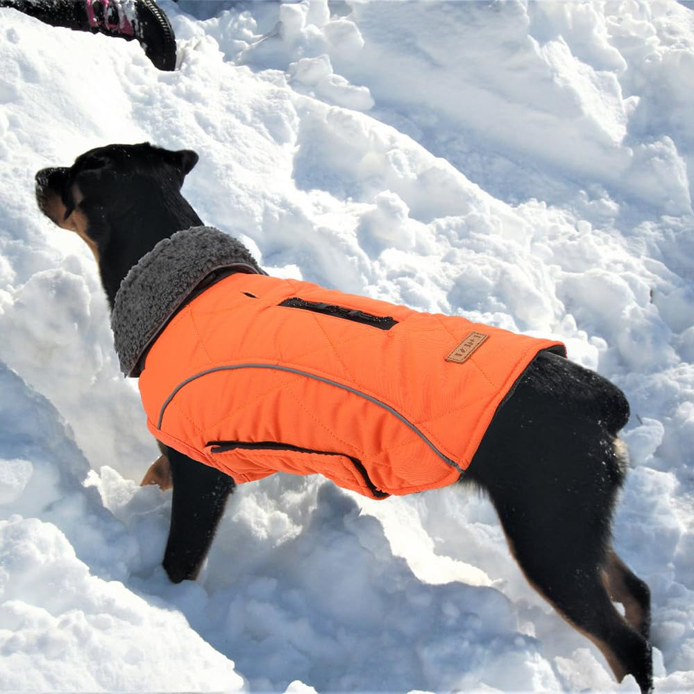EMUST on-dog-walk shows wind-resistance and comfortable mobility