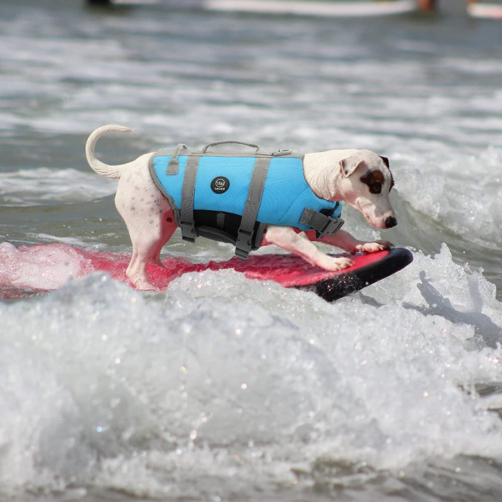 EMUST dog life jacket blue, reflective strips improve visibility during evening activity