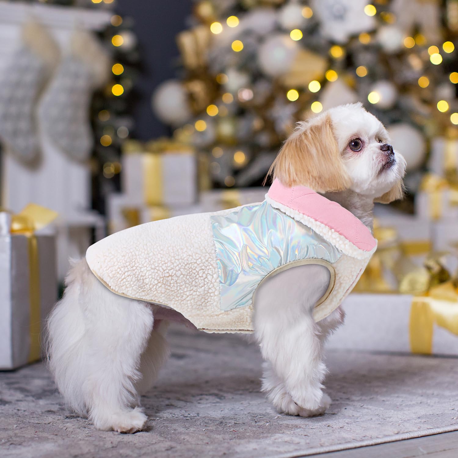 EMUST Quilted Warm Small Dog Coat on dog in winter scene.