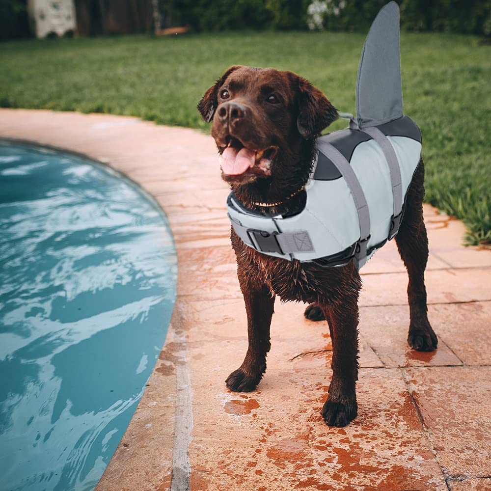 EMUST Shark Life Jacket D-ring leash attachment supports outdoor outings