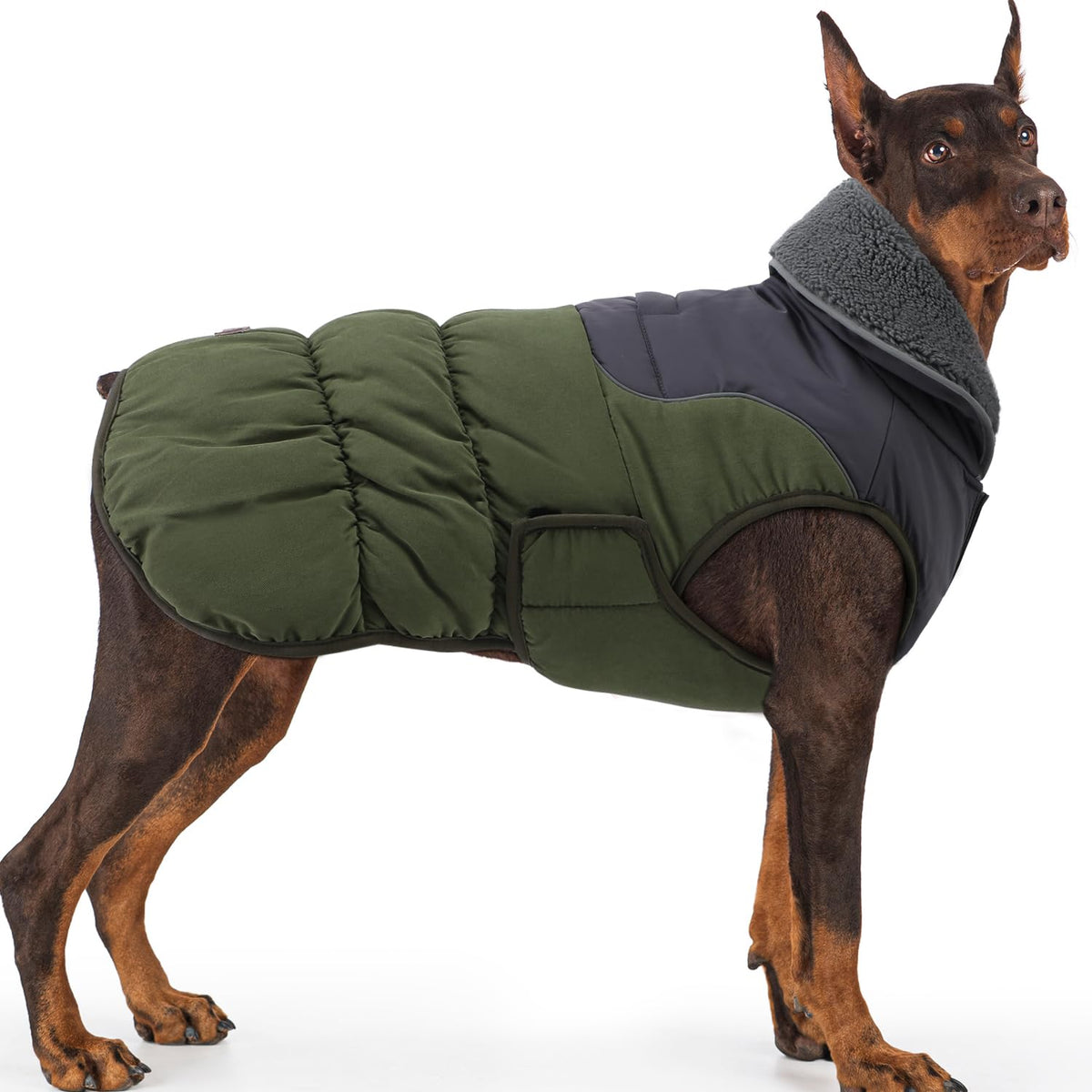 EMUST small dog coat in green with foldable collar for extra warmth outdoors.