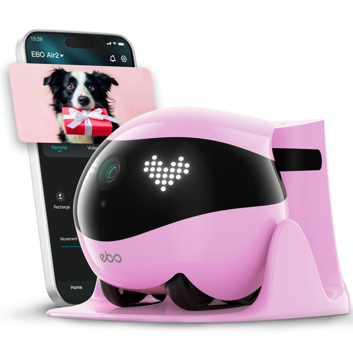 Enabot EBO Air 2 2K camera delivers crisp pet footage for clear monitoring.