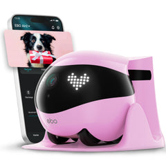 Enabot EBO Air 2 2K camera delivers crisp pet footage for clear monitoring.