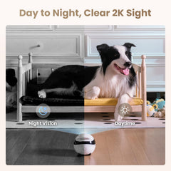 Enabot EBO Air 2 night vision reveals details in low light.