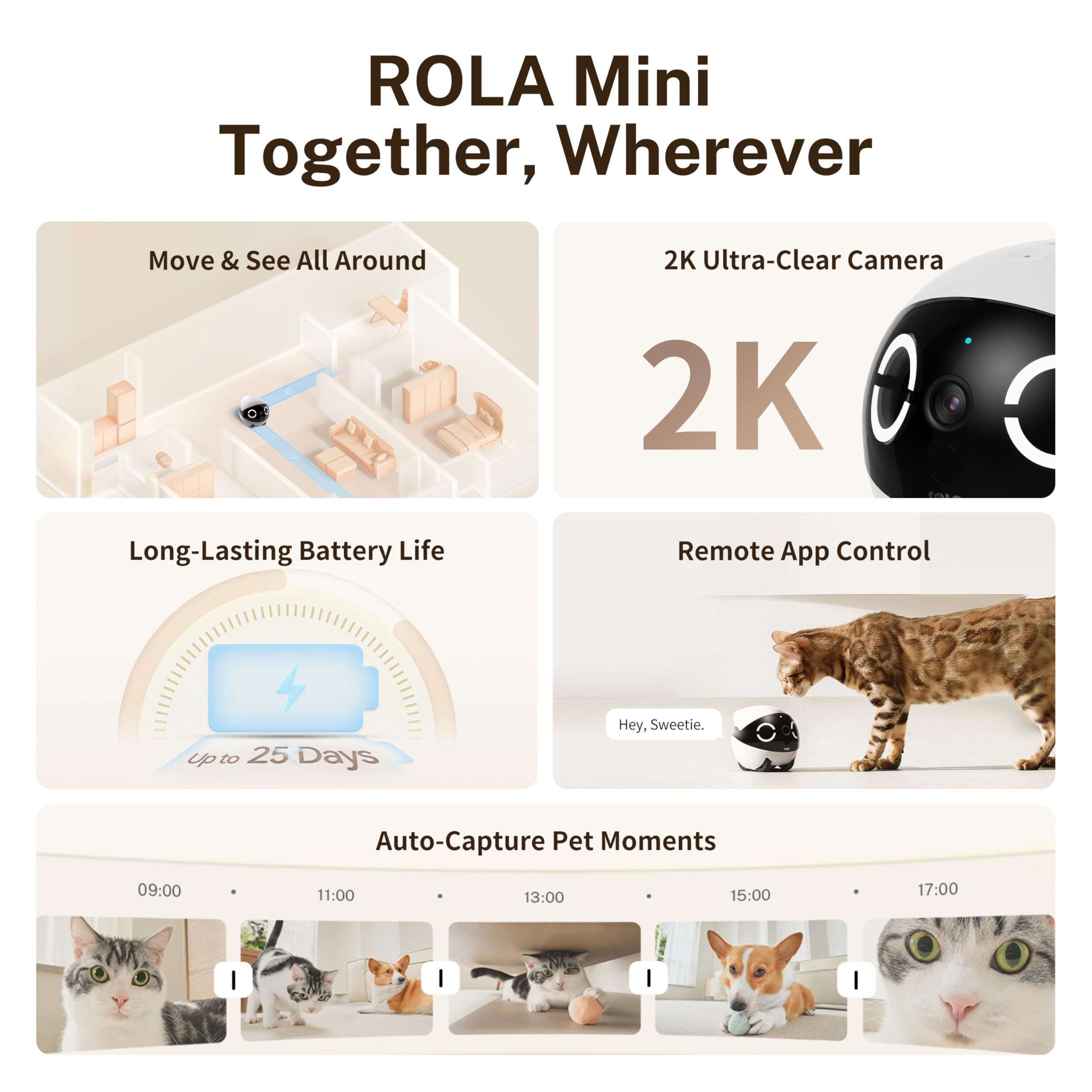 Enabot EBO ROLA Mini 2K camera captures crisp, clear footage of family moments.