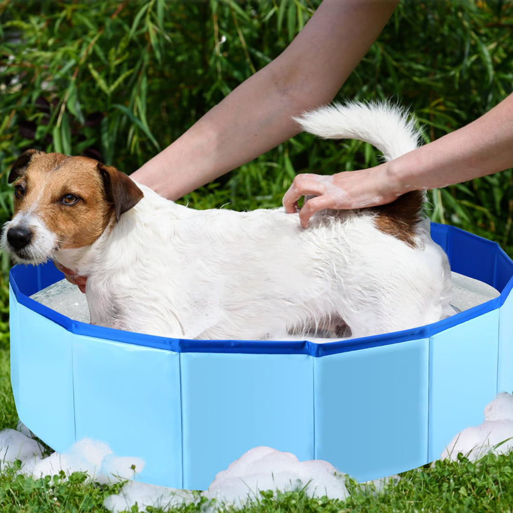 Enenes Foldable Dog Pool travel-storage illustrates portable setup for travel