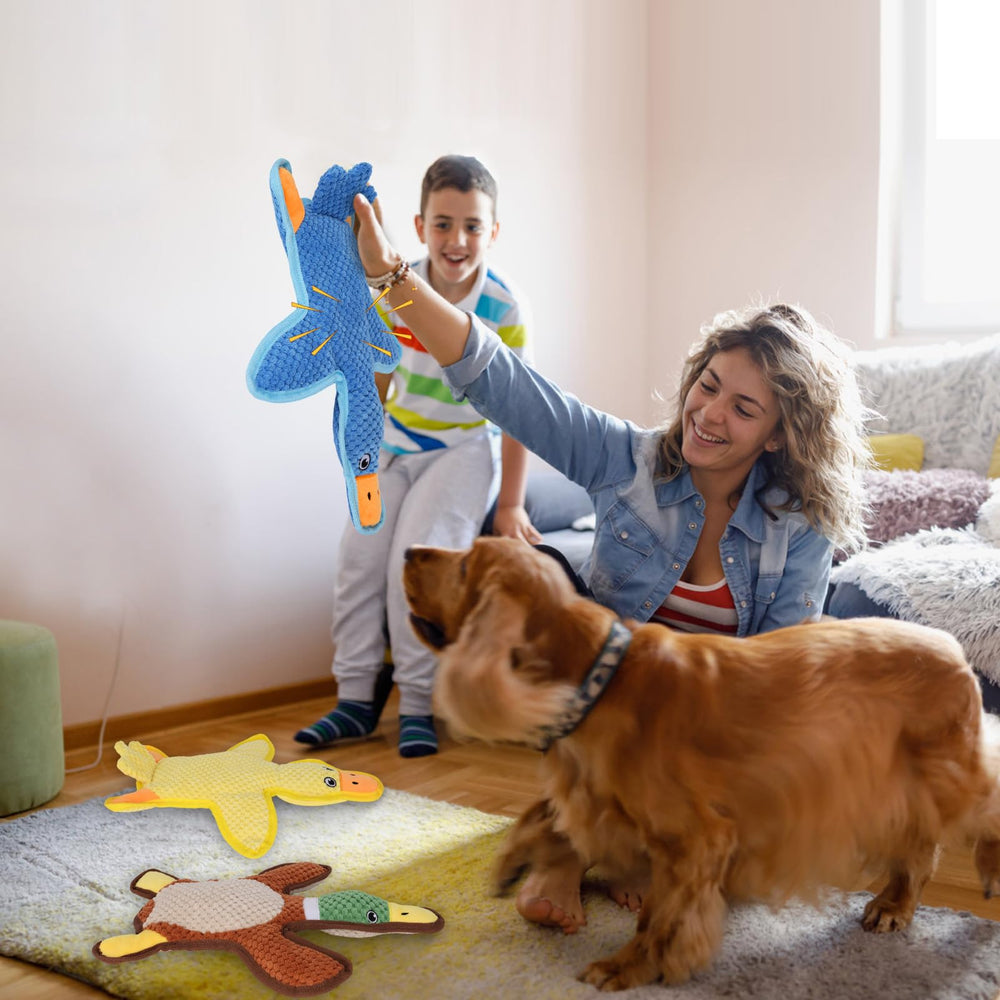 Eneston gift-ready duck toy set for dog lovers.