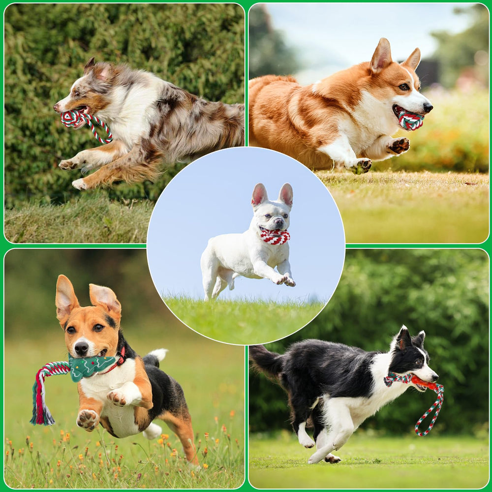 Enido Christmas tree dog toy in red-green colors for seasonal fun