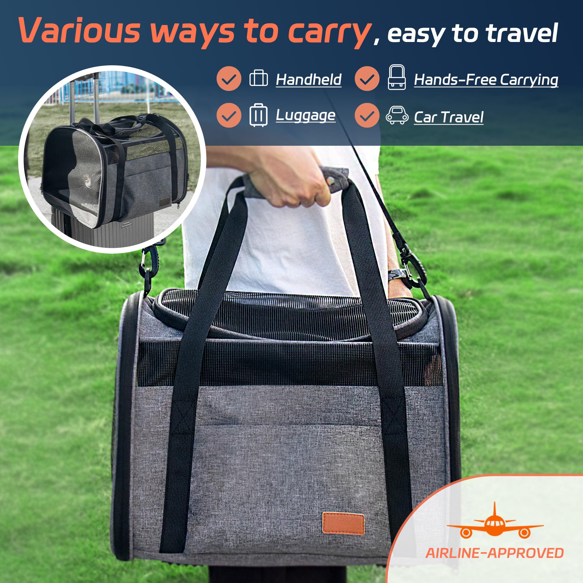Eniosvar memory-metal-frame carrier maintains rigid shape during transport