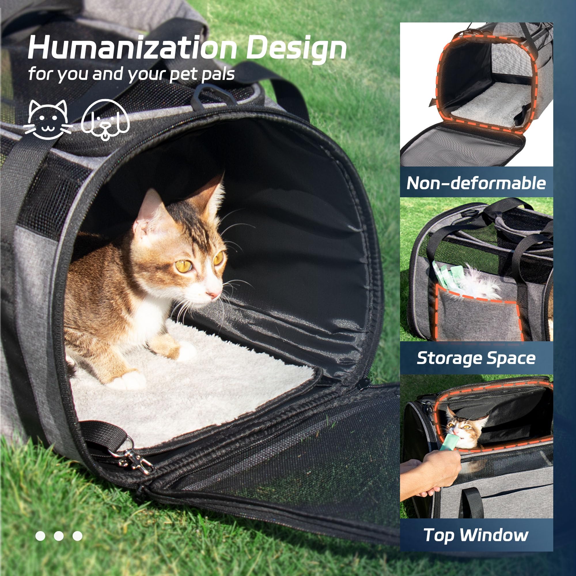 Eniosvar multi-door entry enables simple pet loading from either side