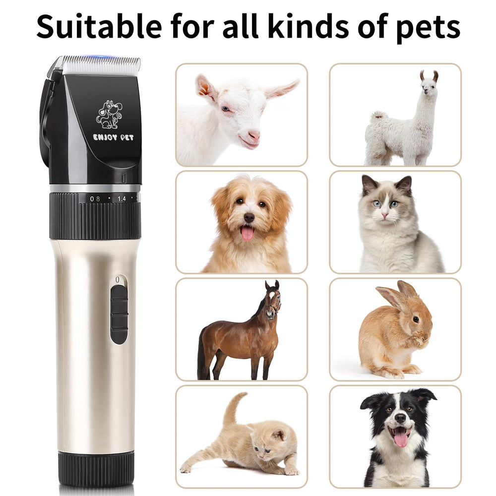 ENJOY PET care tips: oil blades and store dry.