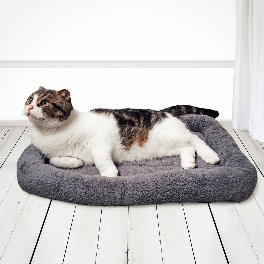 Enjoying Cat Mat Bed in car seat setup for pet comfort on the go