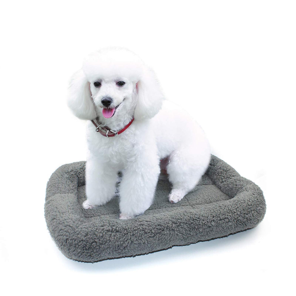 Enjoying Cat Mat Bed plush surface closeup for soft lounging and warmth