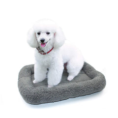 Enjoying Cat Mat Bed plush surface closeup for soft lounging and warmth