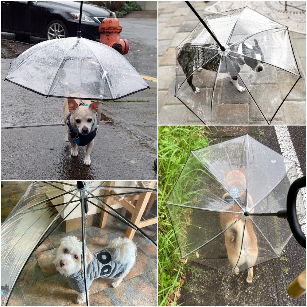 Enjoying-clear-dog-umbrella-material provides visibility for you and dog during walks.