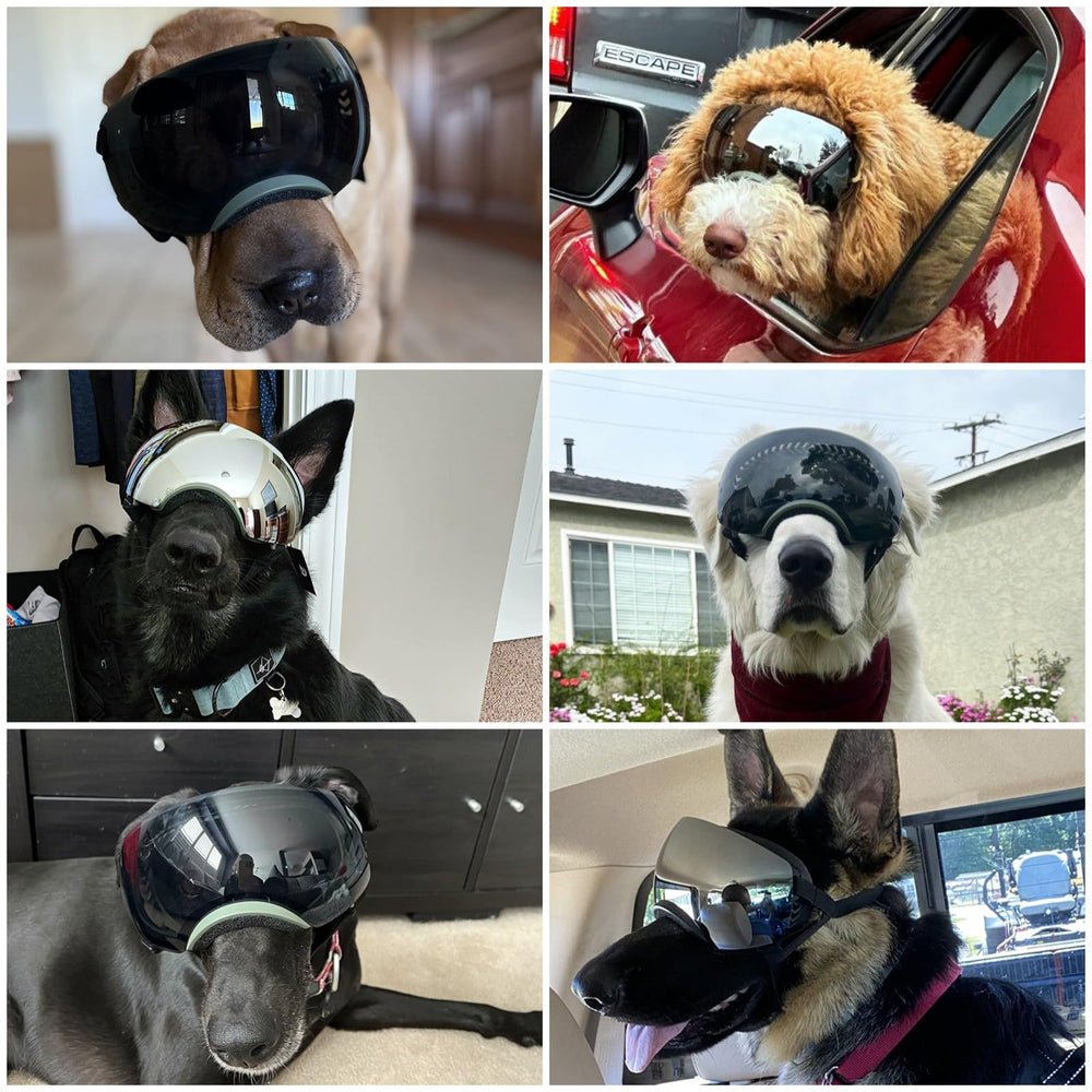 Enjoying dog goggles reflective silver lens for bright sun and visibility