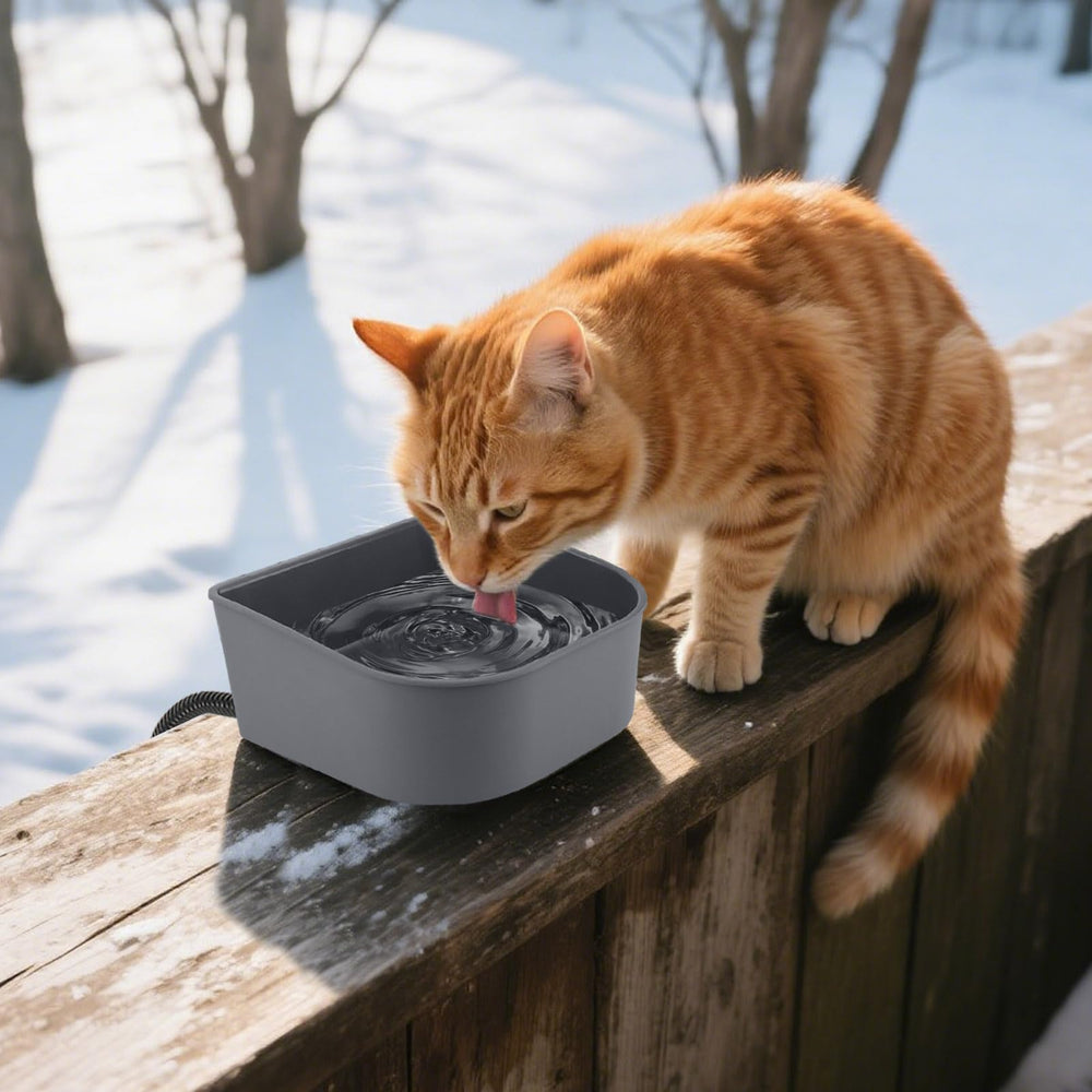 Enjoying heated water bowl hanging design for easy mounting and access