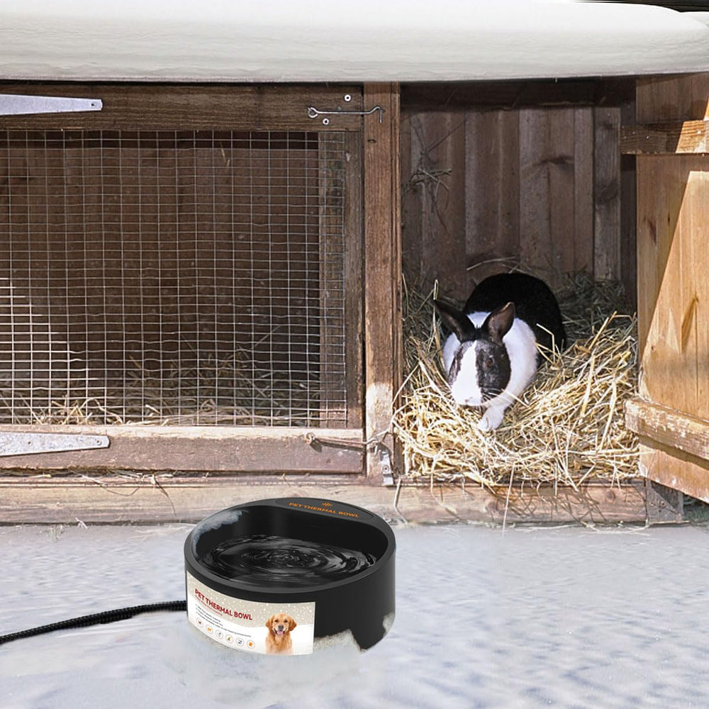 Enjoying pet bowl safety notes for secure placement