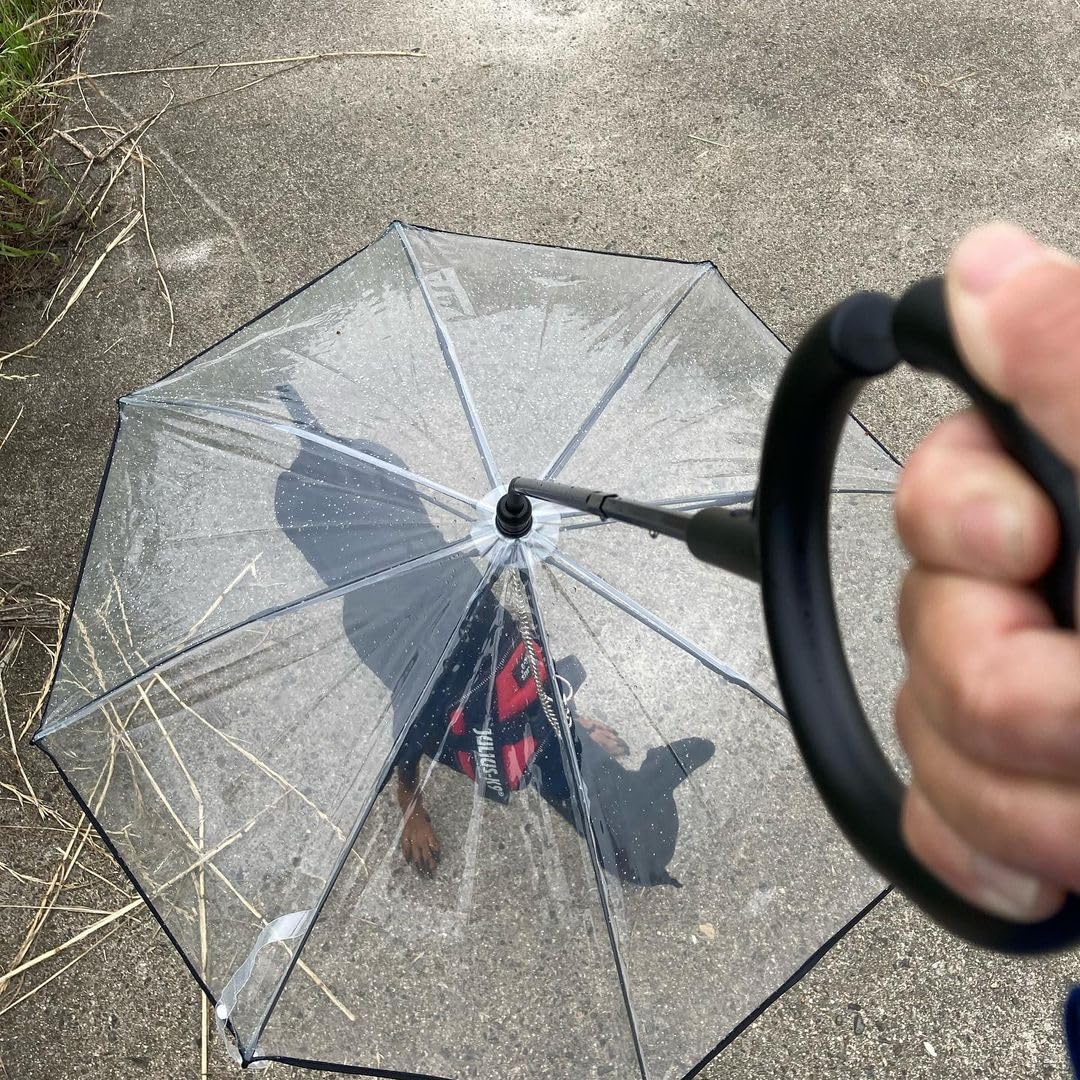 Enjoying-puppy-friendly-dog-umbrella-use-case demonstrates gentle weather protection without stressing shy pups.