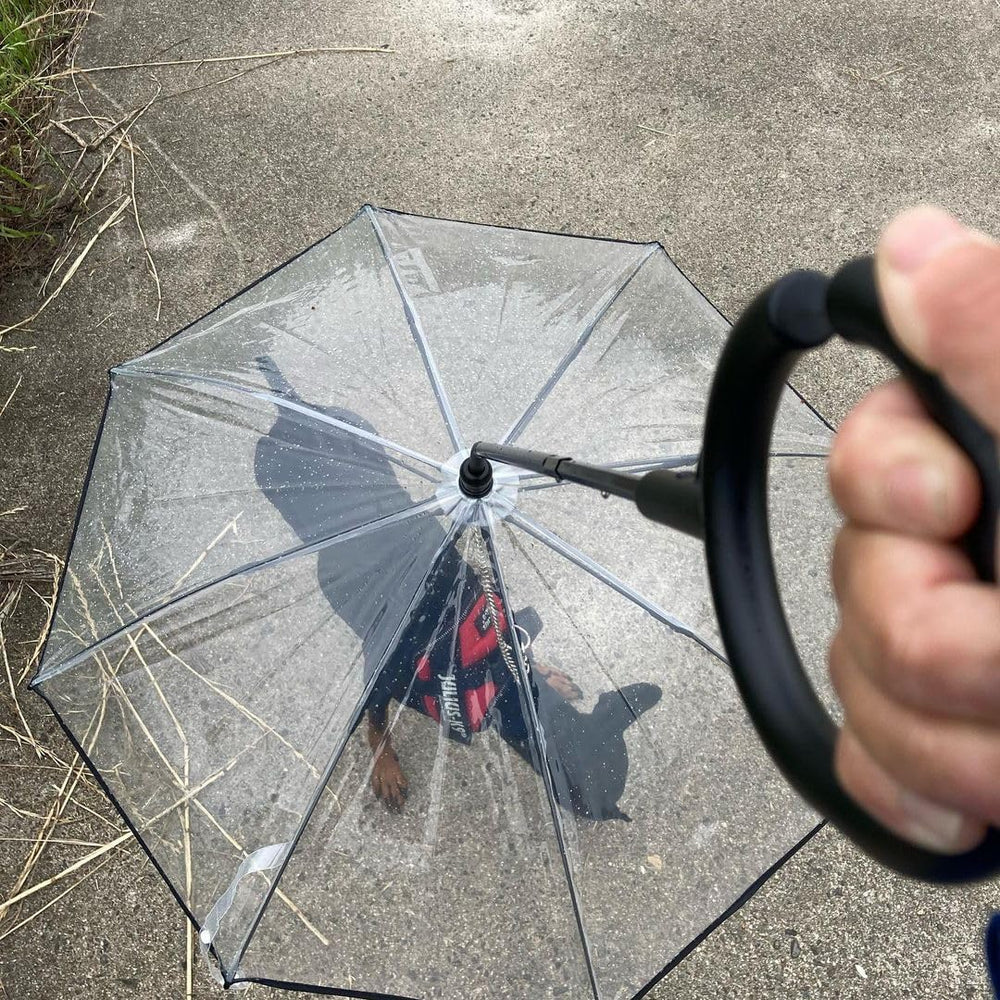 Enjoying-puppy-friendly-dog-umbrella-use-case demonstrates gentle weather protection without stressing shy pups.