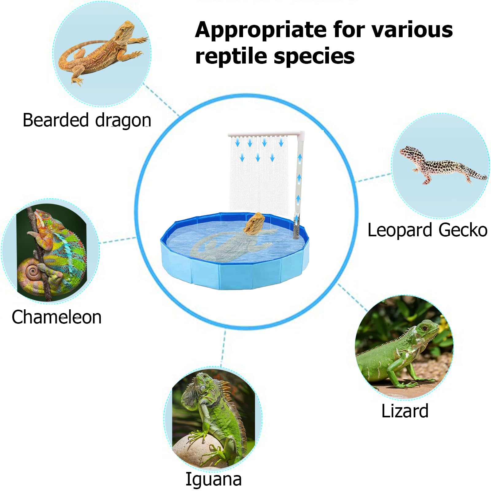 Enochainchin foldable reptile bath folds compactly for easy storage and transport