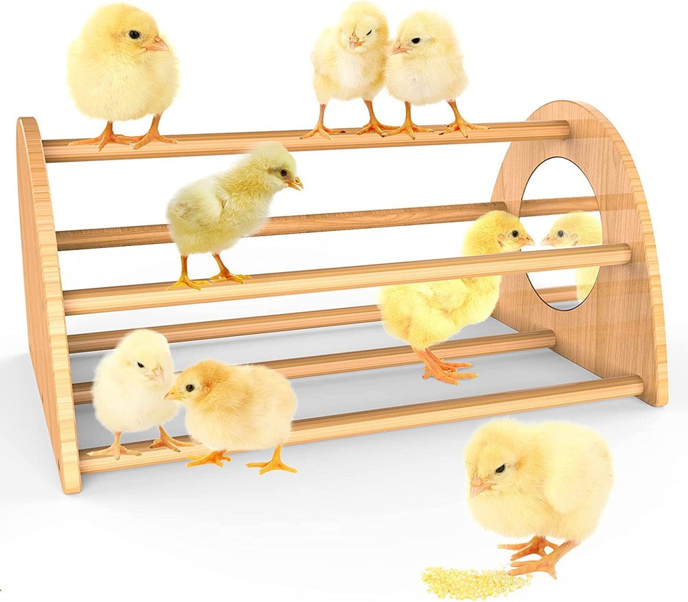 Ensayeer bamboo chicken perch with mirror boosts chick roosting training and coop excitement.