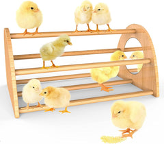 Ensayeer bamboo chicken perch with mirror boosts chick roosting training and coop excitement.