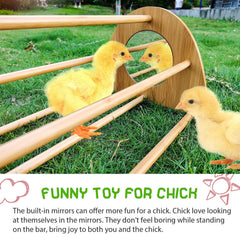 Ensayeer chicken perch in coop - comfortable height helps birds settle securely at night.