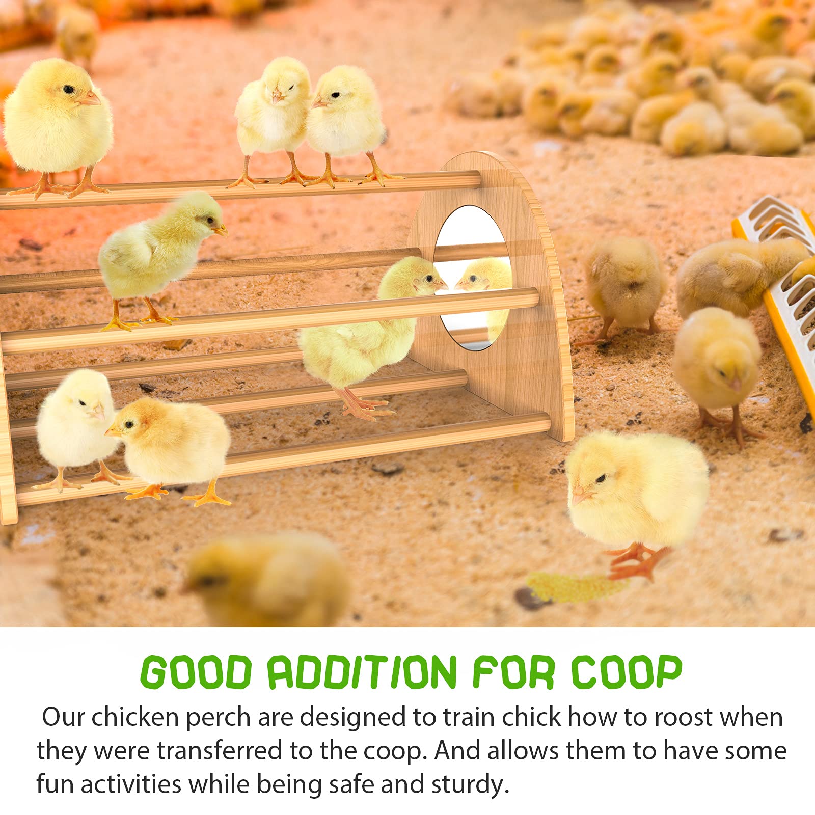 Ensayeer training perch brooder - supports chick learning and entertainment.